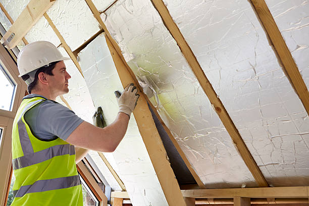 Best Insulation Installation Services in Bargersville, IN