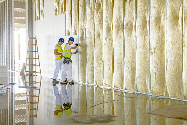 Best Commercial Insulation in Bargersville, IN